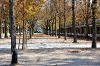 Dominas und Dominastudios in Baden-Baden
