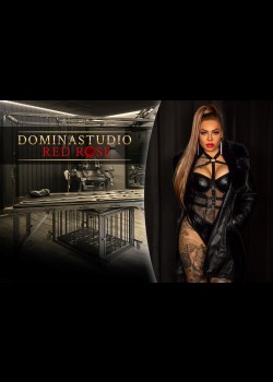 Dominastudio Red Rose